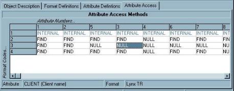 Attribute Access tab page